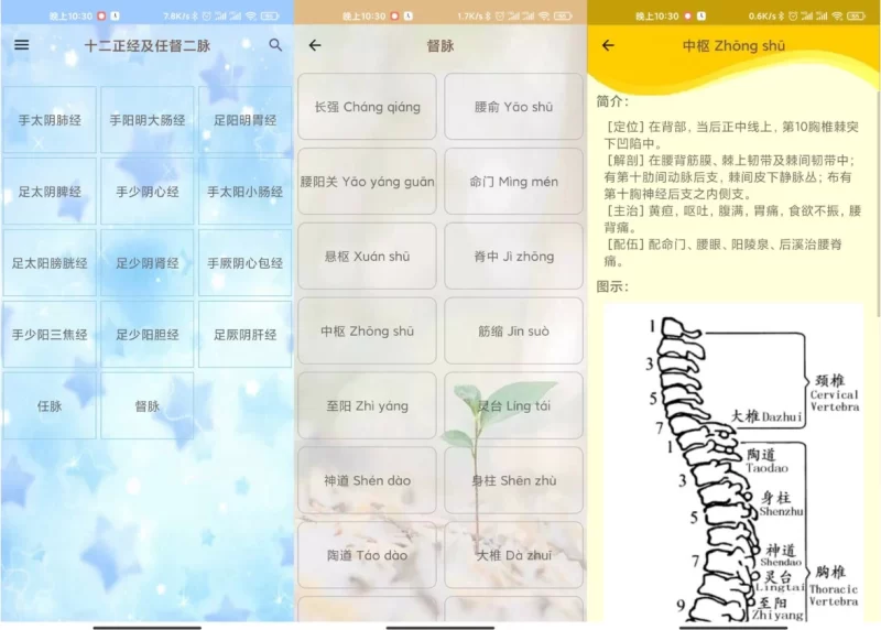 人体穴位图解 v3.2.0 可离线版-大伟资源网