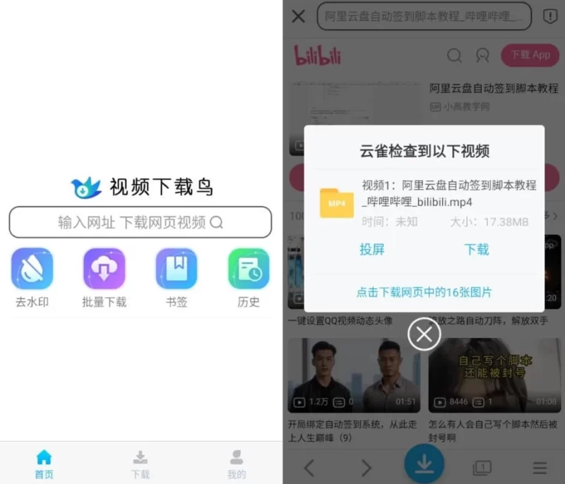 视频下载鸟 v18.62 高级版-大伟资源网