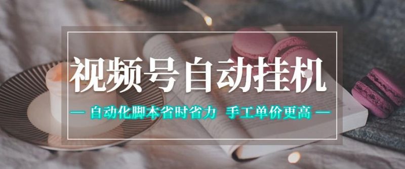视频号自动挂G项目，自动化脚本省时省力，手工单价更高，日入300+全网最稳【揭秘】-大伟资源网