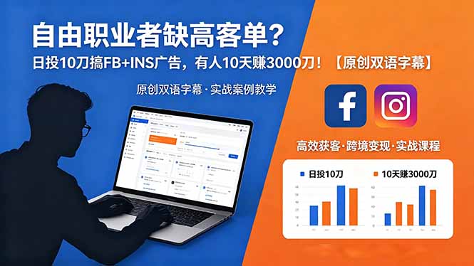 自由职业者缺高客单？日投 10 刀搞 FB+INS 广告，有人 10 天赚 3000 刀！【原创双语字幕】-大伟资源网