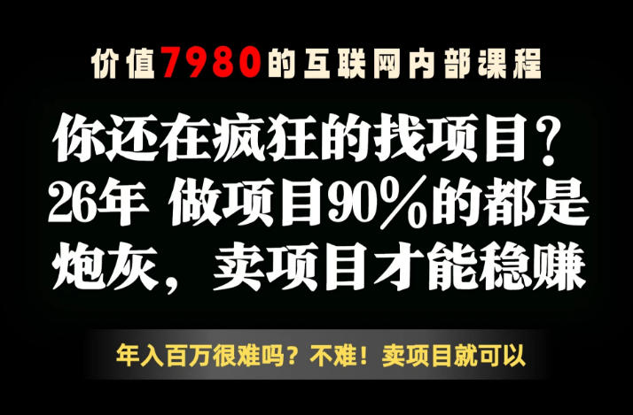26年请不要疯狂的找项目了，卖项目远比你想象的暴利，你也可以月入10W+【揭秘】-大伟资源网