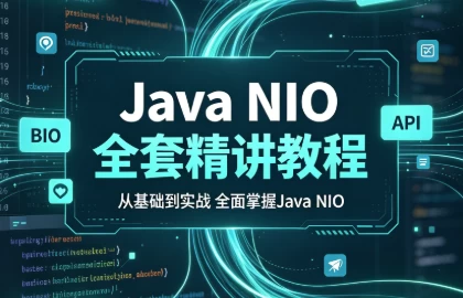 Java NIO全套精讲教程（BIO NIO AIO及NIO API源码解析）-大伟资源网