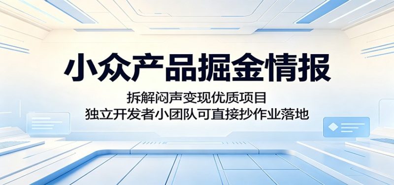 小众产品掘金情报：拆解闷声变现优质项目，独立开发者小团队可直接抄作业落地-大伟资源网