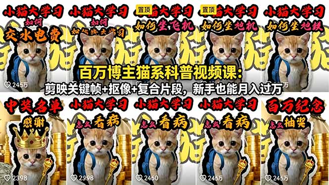 百万博主猫系科普视频课：剪映关键帧+抠像+复合片段，新手也能月入过万-大伟资源网