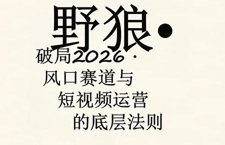 野狼团队·多平台实操运营课(更新4月)-大伟资源网