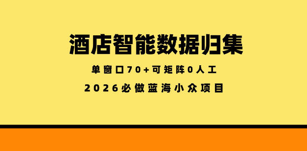 酒店智能数据归集，小众蓝海已经稳定半年之久，单窗口70+零成本矩阵开干【揭秘】-大伟资源网