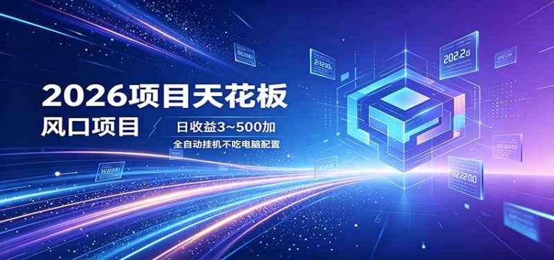 2026项目天花板，风口项目，日收益3~500+全自动挂机，不吃配置-大伟资源网