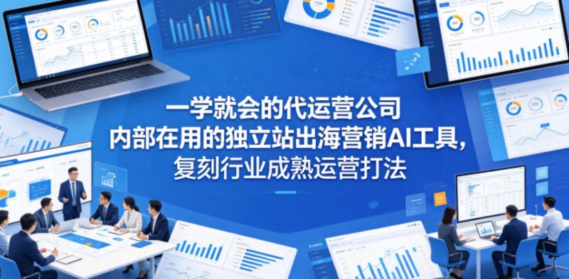 一学就会的代运营公司内部在用的独立站出海营销AI工具，复刻行业成熟运营打法-大伟资源网