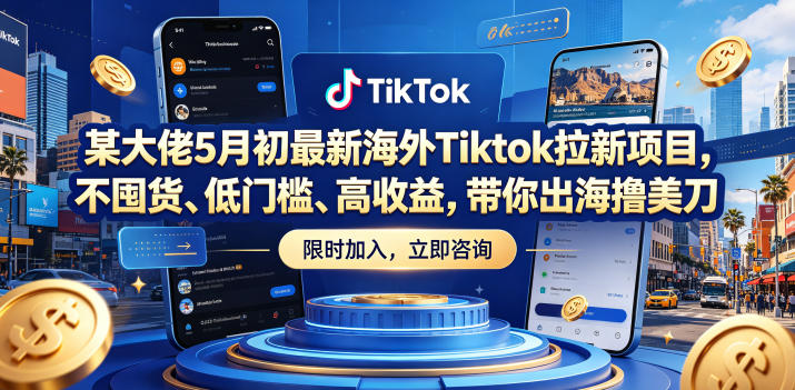 某大佬5月初最新海外Tiktok拉新项目，不囤货、低门槛、高收益，带你出海撸美刀-大伟资源网