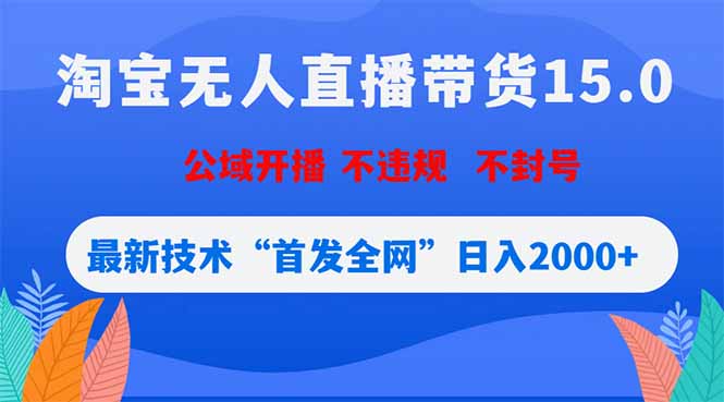 淘宝无人直播带货15.0，不封号，不违规，公域玩法，首发全网日入2000+-大伟资源网