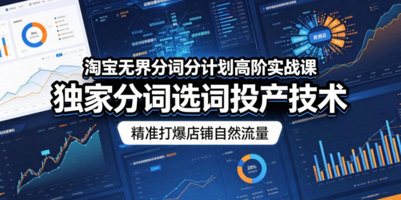 淘宝无界分词分计划高阶实战课，独家分词选词投产技术，精准打爆店铺自然流量-大伟资源网