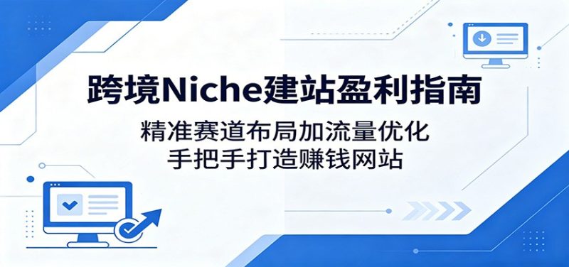 跨境Niche建站盈利指南：精准赛道布局加流量优化，手把手打造赚钱网站-大伟资源网