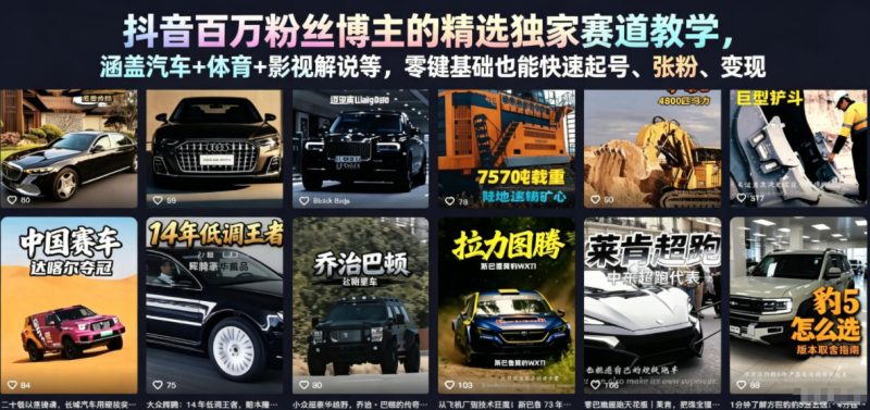 抖音百万粉丝博主的精选独家赛道教学，涵盖汽车+体育+影视解说等，零基础也能快速起号、涨粉、变现-大伟资源网