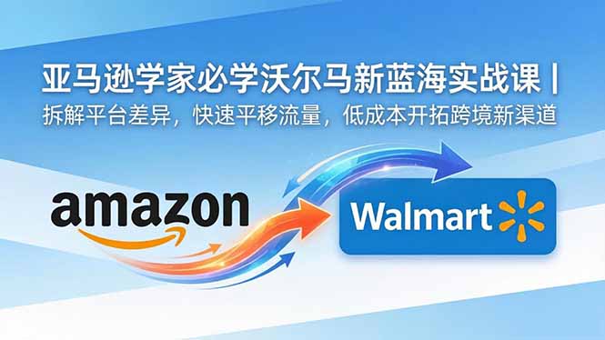 亚马逊卖家必学沃尔玛新蓝海实战课｜拆解平台差异，快速平移流量，低成本开拓跨境新渠道-大伟资源网