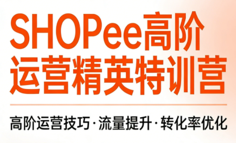 梦凡老师·Shopee虾皮高阶运营课程(更新5月)-大伟资源网