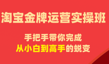 飓风电商·淘宝金牌运营实操班-大伟资源网