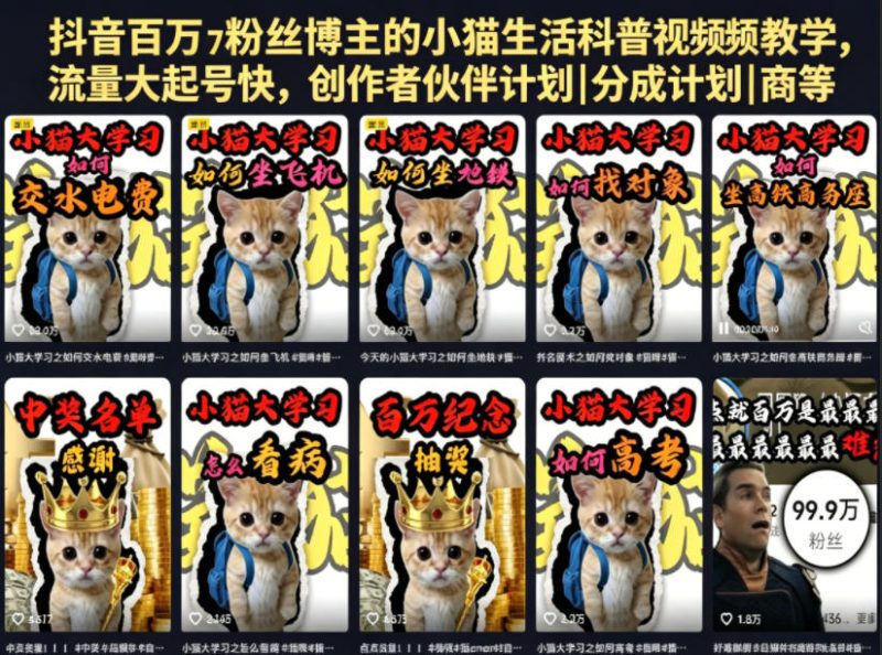 抖音百万粉丝博主的小猫生活科普视频教学，流量大起号快，创作者伙伴计划|分成计划|商单|收徒等-大伟资源网