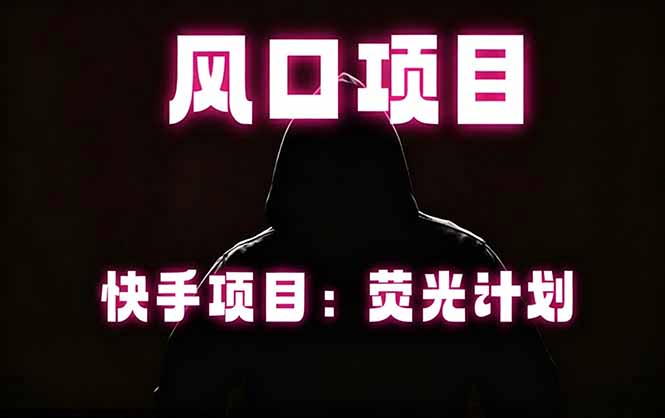 快手风口项目，荧光计划托管，长期稳定，适合批量做-大伟资源网