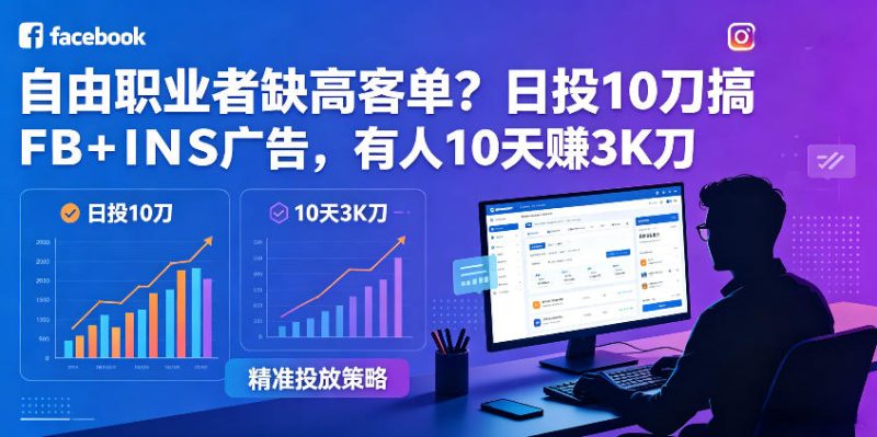 自由职业者缺高客单？日投10刀搞FB+INS广告，有人10天赚3K刀！【原创双语字幕】-大伟资源网