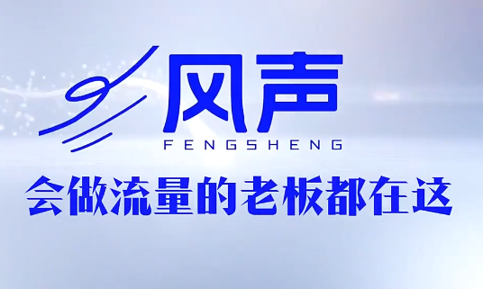 董十一·风声短视频AI获客年度会员-大伟资源网