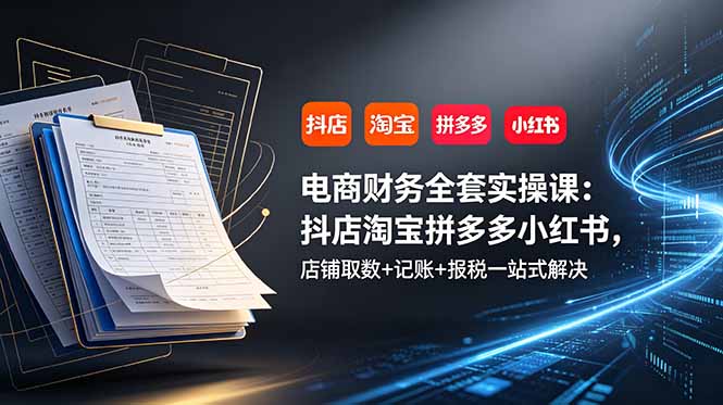 电商财务全套实操课：抖店淘宝拼多多小红书，店铺取数+记账+报税一站式解决-大伟资源网