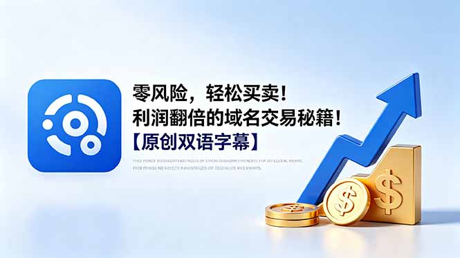 零风险，轻松买卖！利润翻倍的域名交易秘籍！【原创双语字幕】-大伟资源网