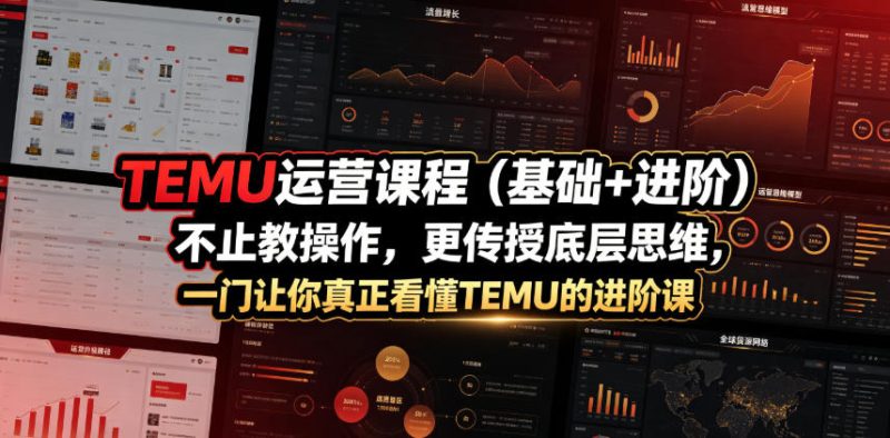 TEMU运营课程(基础+进阶)，不止教操作，更传授底层思维，一门让你真正看懂TEMU的进阶课-大伟资源网