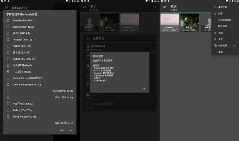 jetAudio v13.1.2 最强音乐播放器，高级多语言版-大伟资源网