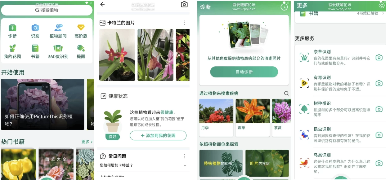 图片[1]-PictureThis Plant Identifier 植物识别软件 v5.27.0 简洁无广告-大伟资源网