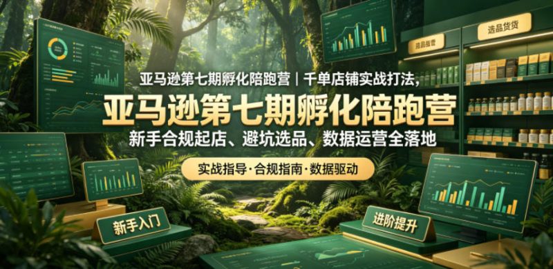 亚马逊第七期孵化陪跑营｜千单店铺实战打法，新手合规起店、避坑选品、数据运营全落地(更新0625)-大伟资源网