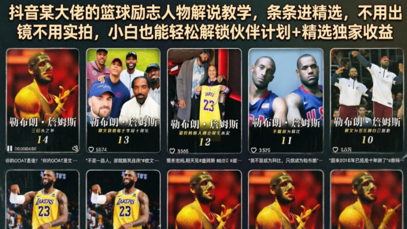 抖音某大佬的篮球励志人物解说教学，条条进精选，不用出镜不用实拍，小白也能轻松解锁伙伴计划+精选独家收益-大伟资源网