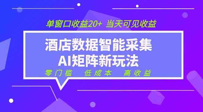 2026酒店数据采集ai智能矩阵新风口  低成本   高收益   当天见收益   单窗口20+-大伟资源网