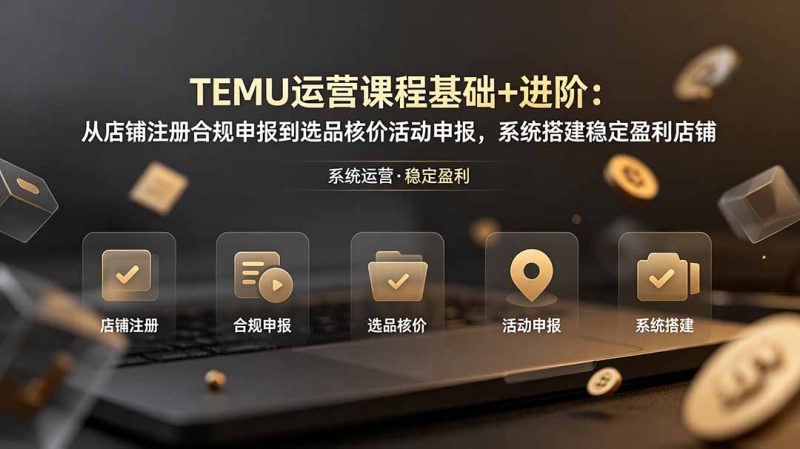 TEMU运营课程(基础+进阶-大伟资源网