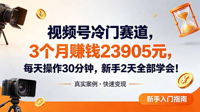 视频号冷门赛道，3个月变现23905元，新手2天学会 每天操作30分钟！-大伟资源网