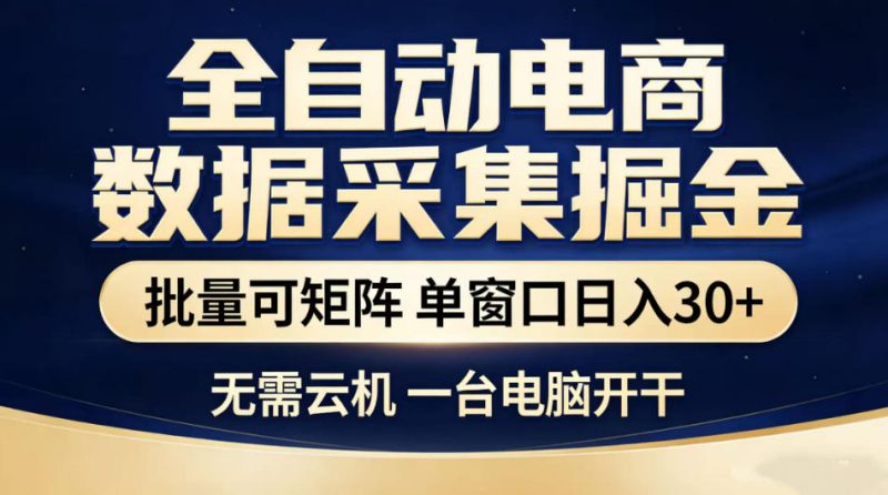 全自动电商数据采集掘金，批量可矩阵单窗口日入30+，无需云机一台电脑开干【揭秘】-大伟资源网