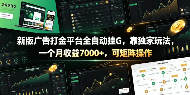 新版广告打金平台全自动挂G，靠独家玩法，一个月收益7000+，可矩阵操作【附全套脚本】【揭秘】-大伟资源网