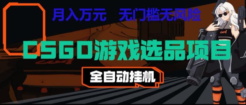 CSGO游戏自动扫货项目，全自动运行，月入1W，无风险，长期稳定可以做【揭秘】-大伟资源网