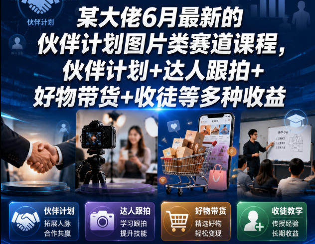 某大佬6月最新的伙伴计划图片类赛道课程，伙伴计划+达人跟拍+好物带货+收徒等多种收益-大伟资源网