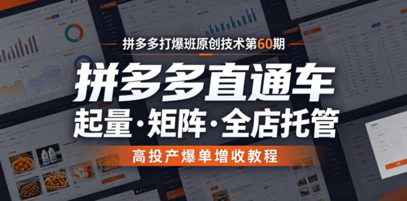 拼多多打爆班原创技术第60期，拼多多直通车，起量・矩阵・全店托管，高投产爆单增收教程-大伟资源网