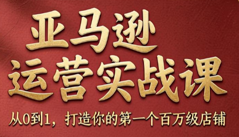 skyla·亚马逊运营实战课(更新6月)-大伟资源网