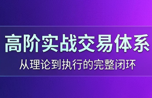 高老师·高阶实战交易体系(更新6月)-大伟资源网