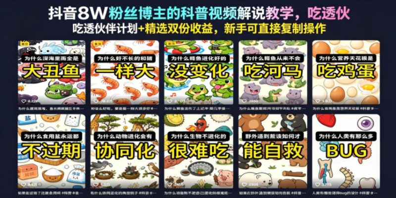 抖音8W粉丝博主的科普视频解说教学，吃透伙伴计划+精选双份收益，新手可直接复制操作-大伟资源网