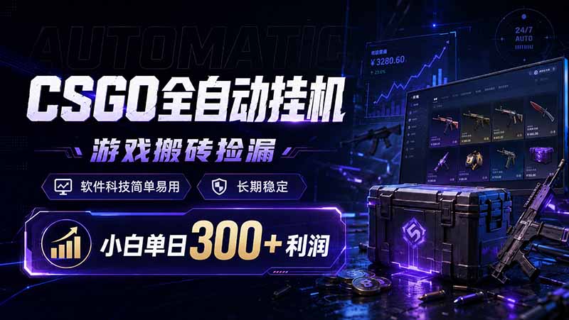 CSGO全自动挂机，游戏搬砖捡漏，软件科技简单易用，长期稳定，小白单日300+利润-大伟资源网