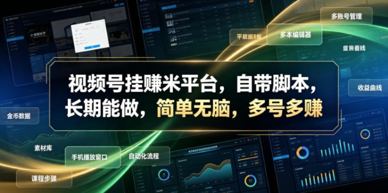 视频号挂賺米平台，自带脚本，长期能做，简单无脑，多号多賺【揭秘】-大伟资源网