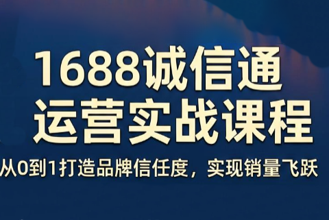 看山老师·阿里巴巴1688诚信通运营课程-大伟资源网