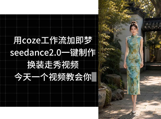 用coze工作流加即梦seedance2.0一键制作换装走秀视频，今天一个视频教会你-大伟资源网