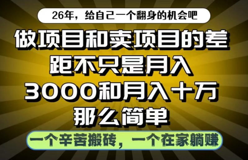 做项目和卖项目不只是月入3K和10W那么简单，一个努力搬砖，一个在家躺賺【揭秘】-大伟资源网