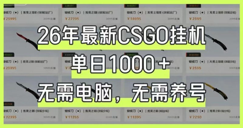 26年最新CSGO挂G系统,单日1000+,无需电脑,无需养号,0基础可上手【揭秘】-大伟资源网