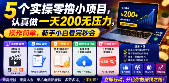 5个实操零撸小项目，认真做一天200无压力，操作简单，新手小白看完秒会【揭秘】-大伟资源网