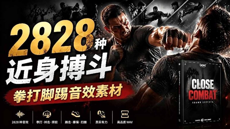 宝藏级别音效！2828种近身搏斗拳打脚踢音效素材，全部中文分类，免解压使用  Close Combat-大伟资源网